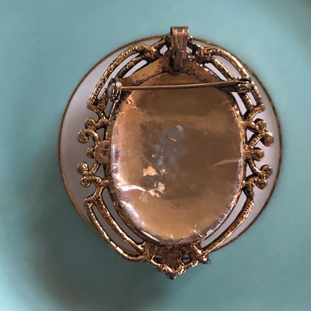 Vintage Dried Flowers Under Dome Bubble Brooch Pendant - Picture 7 of 9